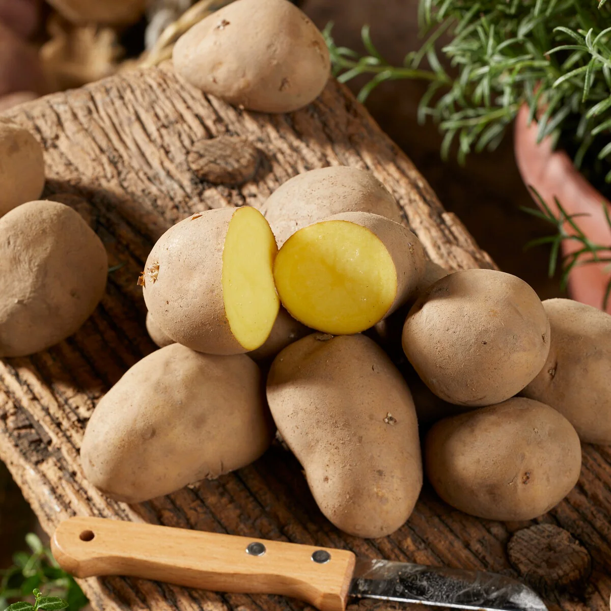 Miniatuur 1