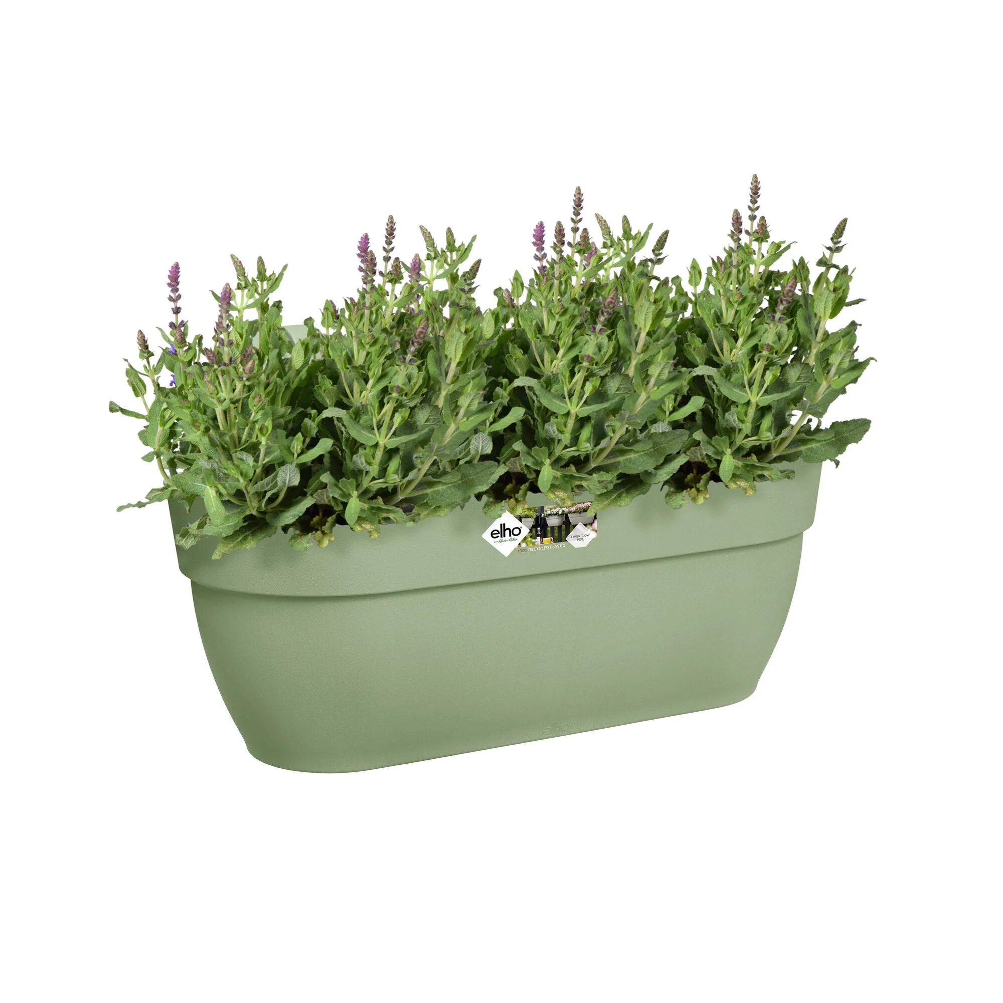 Miniatuur 2