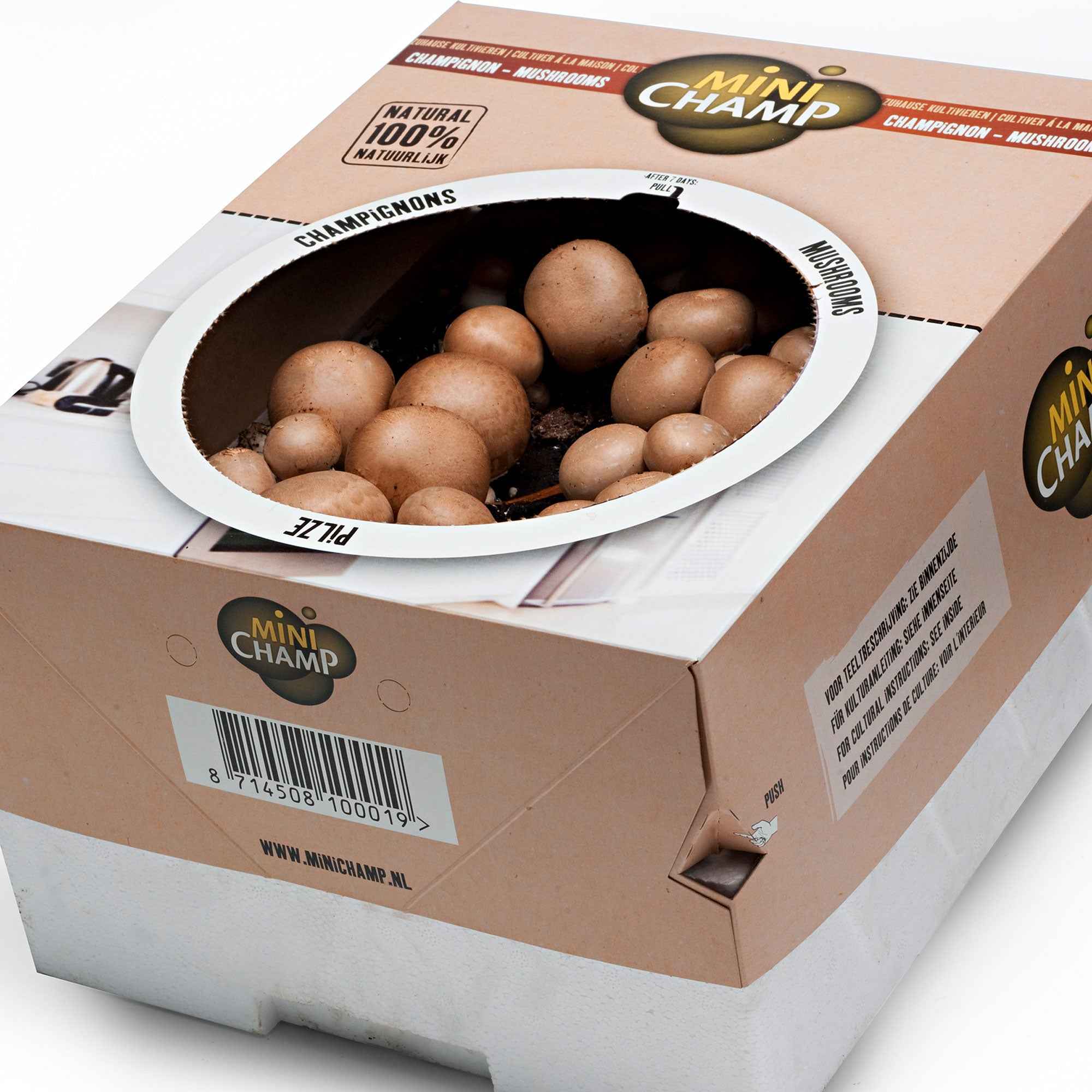 Kweekset champignon - Image 3