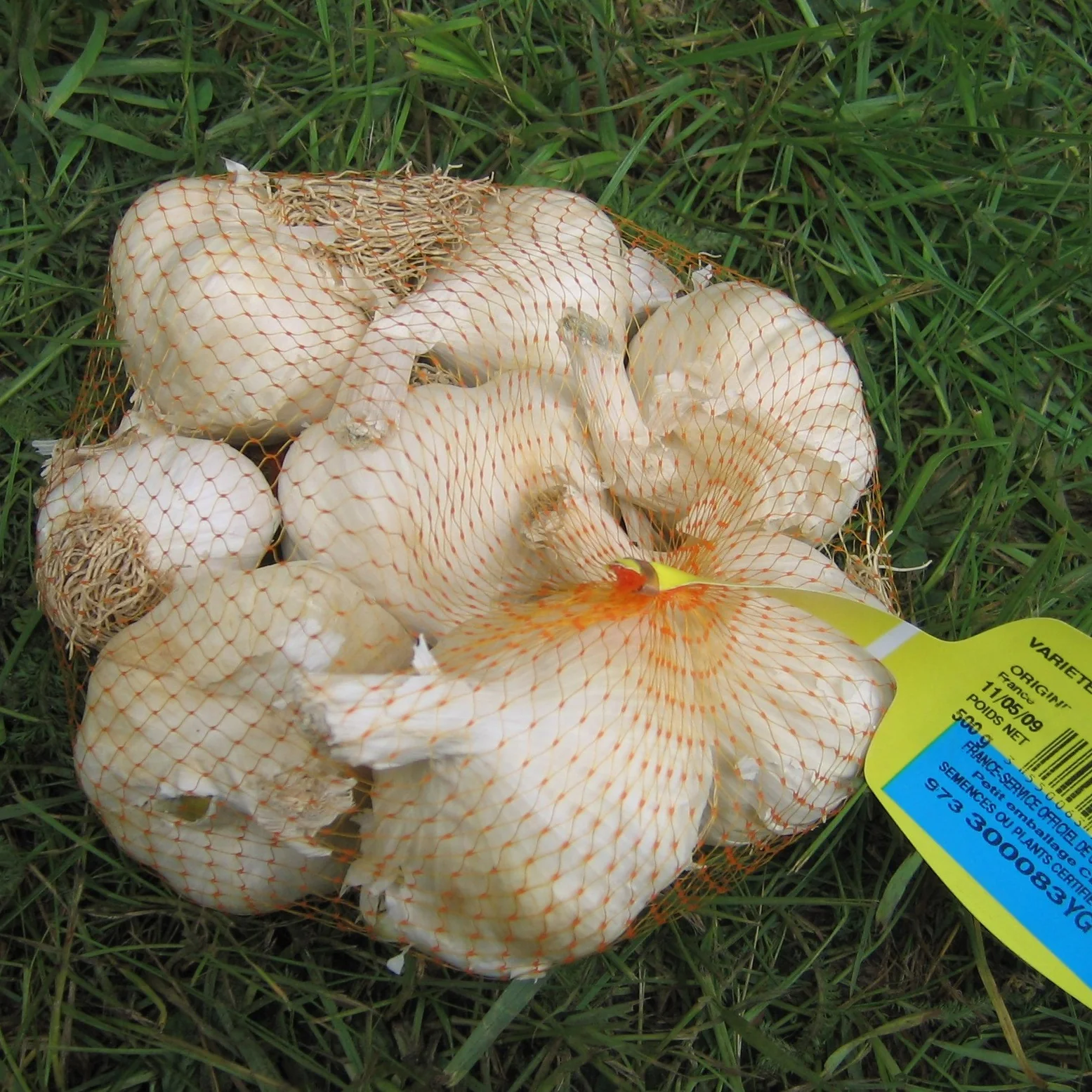 Miniatuur 2